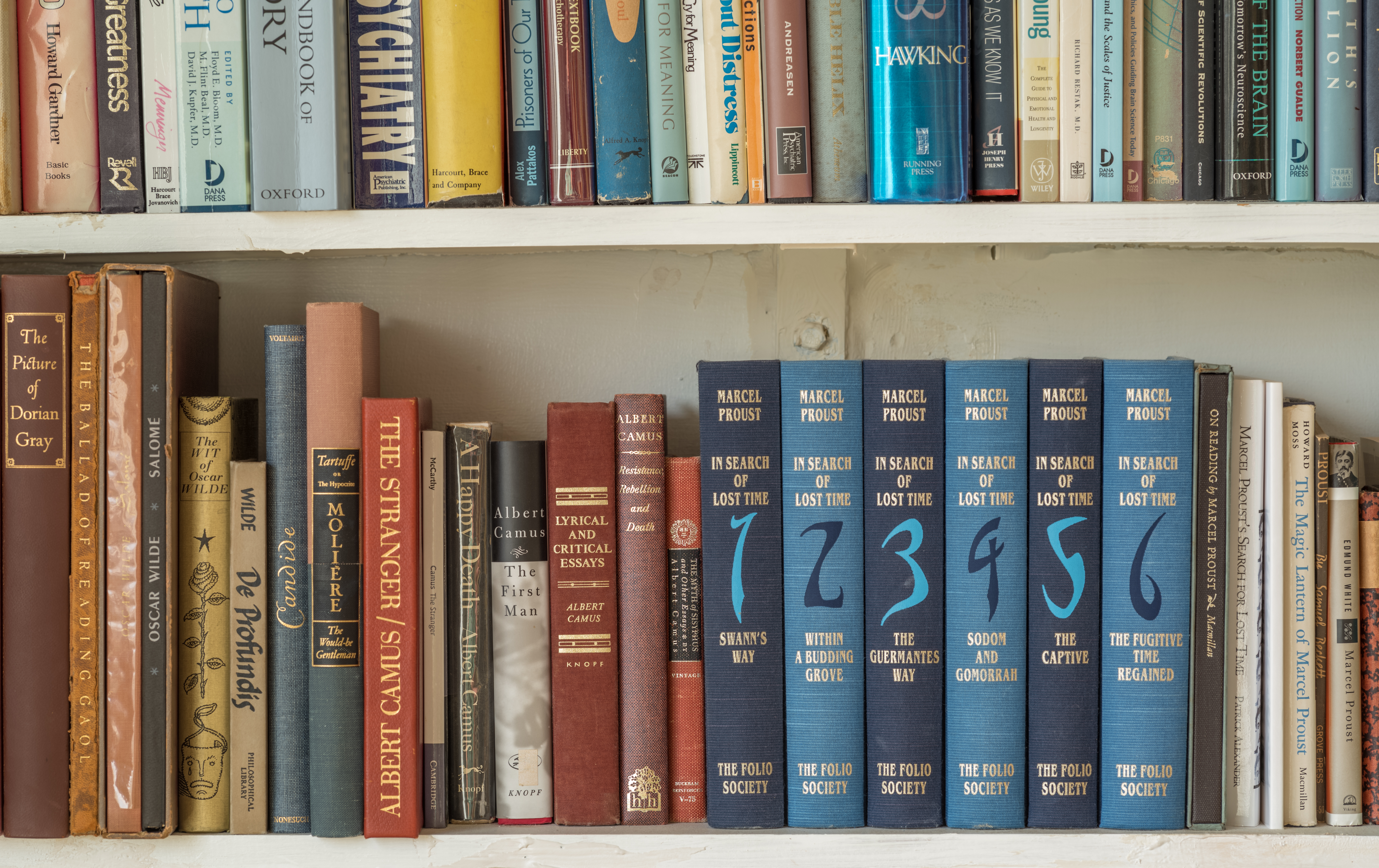 How to Start a Rare Book Collection Read - Entity ^ How to Start a Rare Book Collection Read - Entity